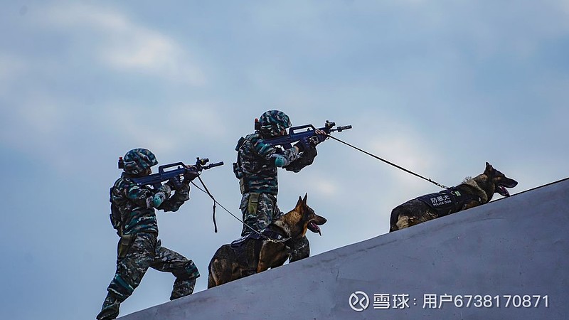 开云APP-火药味十足！豪门对抗狂飙，速战速决的简单介绍