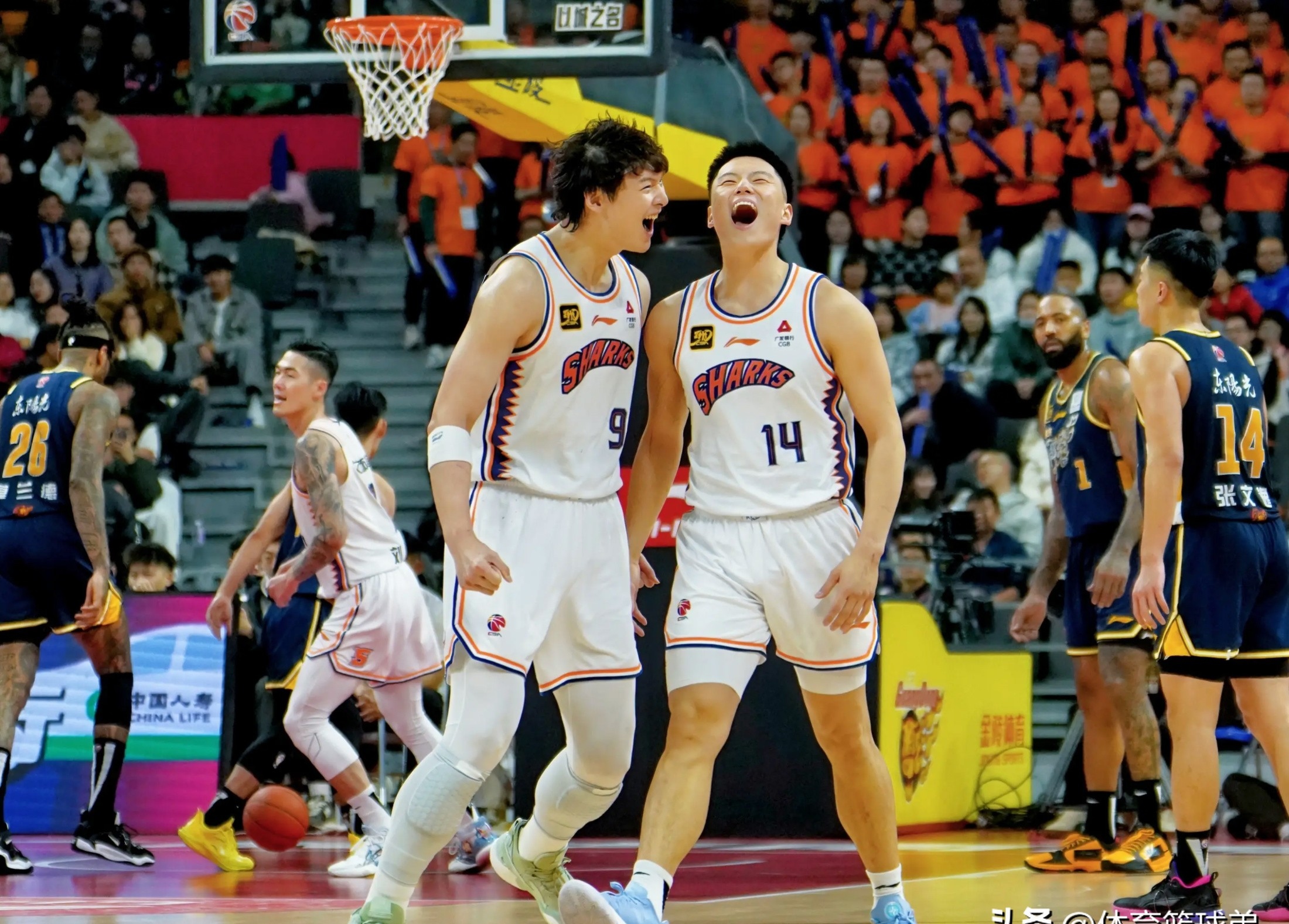 浙江队以微弱优势战胜重庆，取得连胜的简单介绍