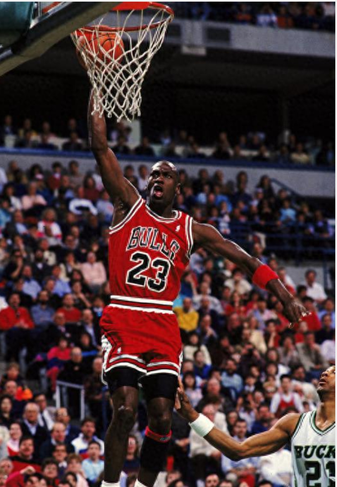 开云体育APP下载-回顾篮球经典时刻:传奇再现的简单介绍