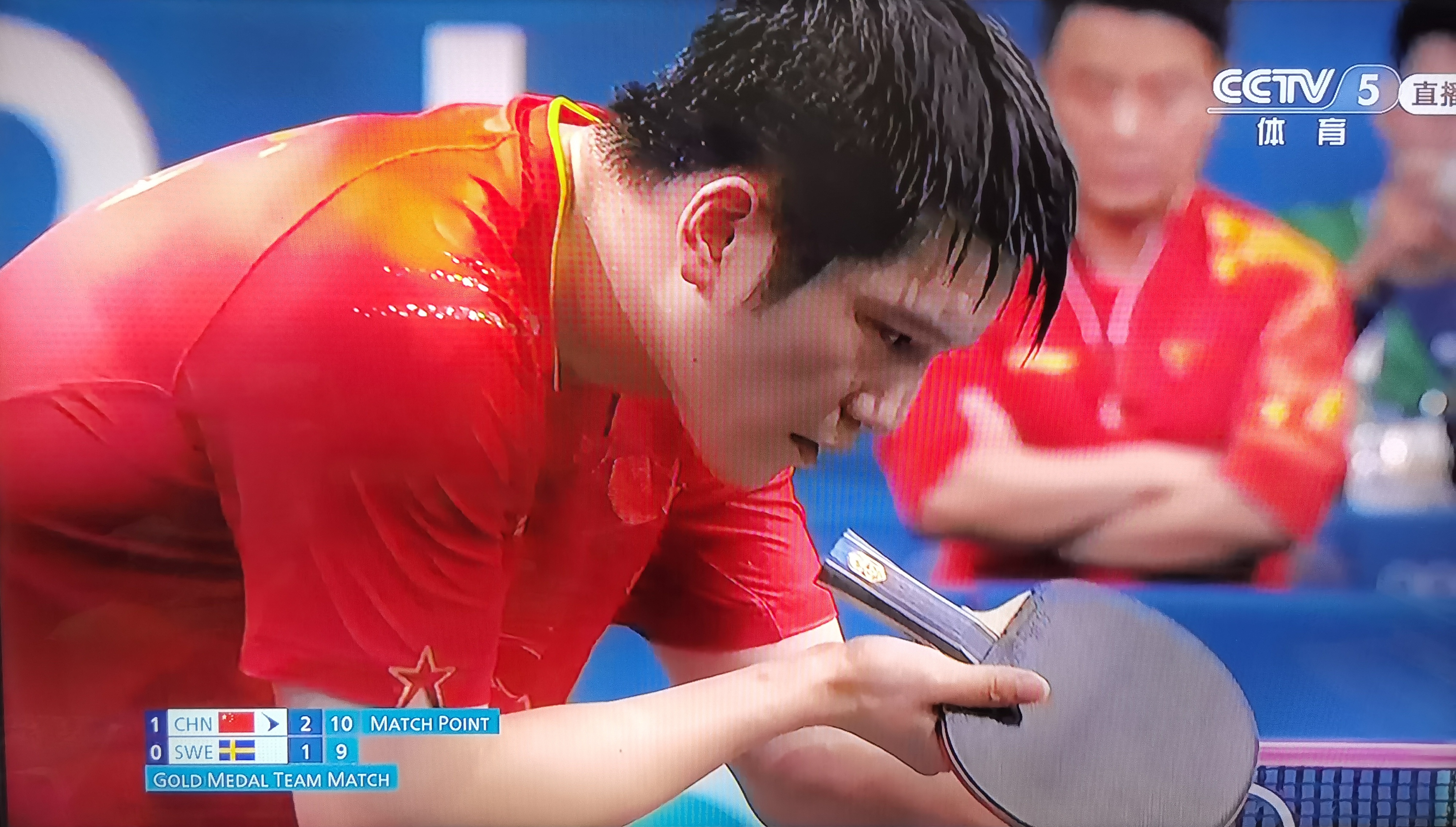 开云体育-中国队力克瑞典队,樊振东刷新纪录