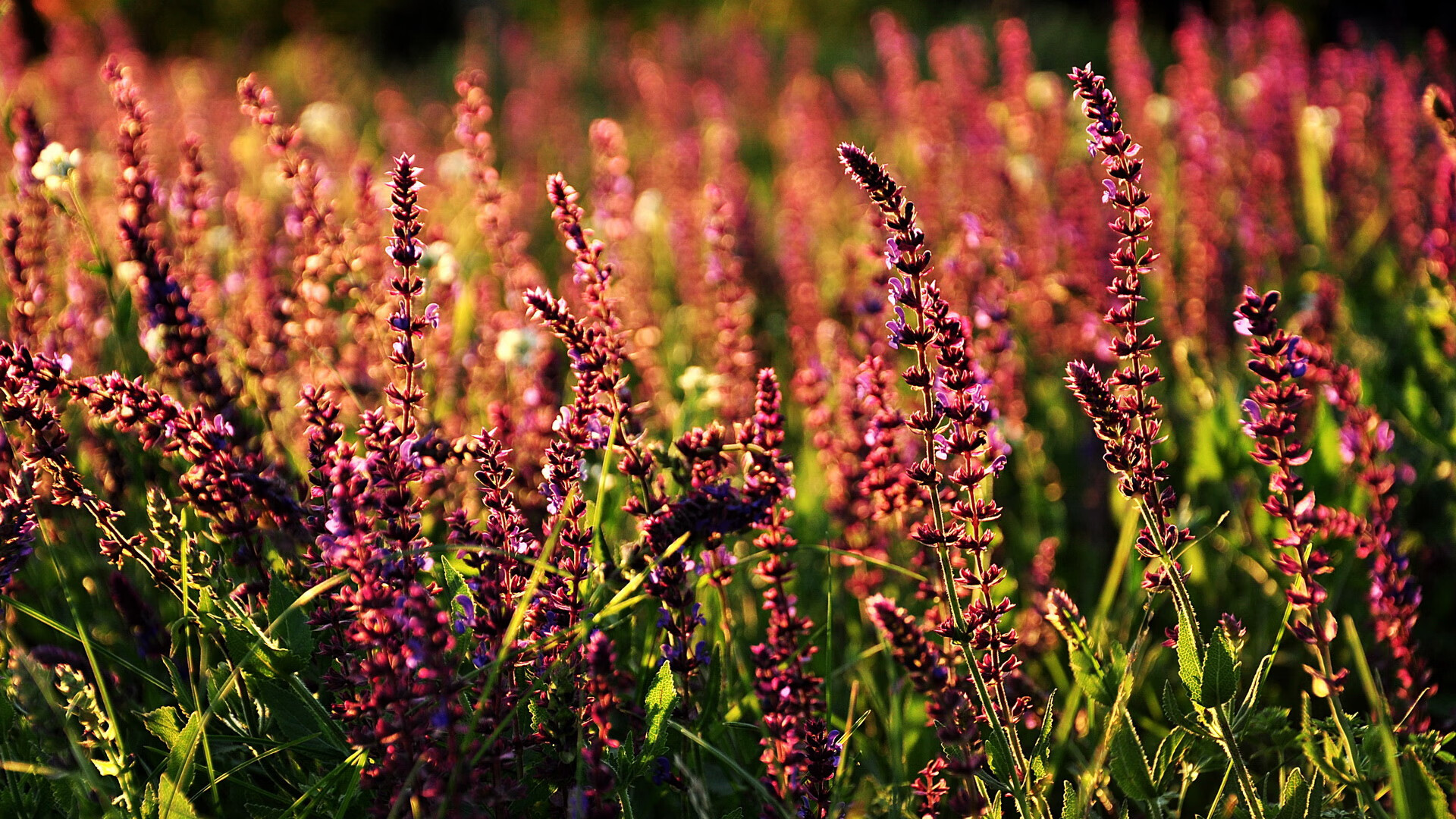 开云体育中国-棋手与棋盘,保罗如何以无形之手定义年度焦点之战