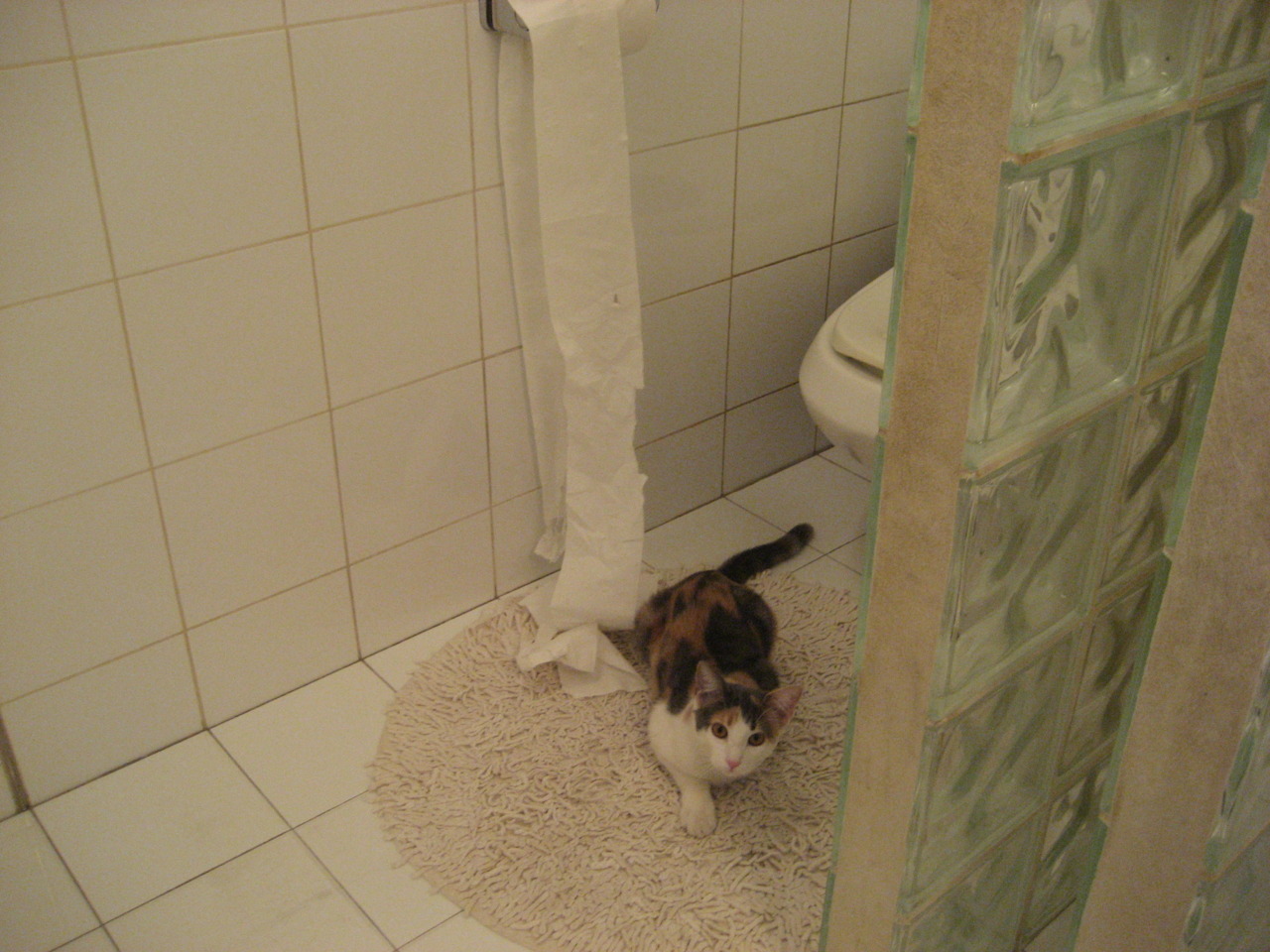 开云-他一个人在跳舞,奥运周期关键战之夜,拉文的孤独征服