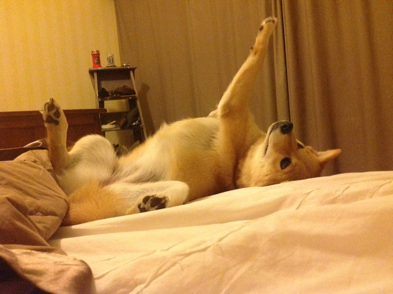 开云体育app-西决生死战之夜，那个隐身的杰伦·格林，如何炸裂了存在感