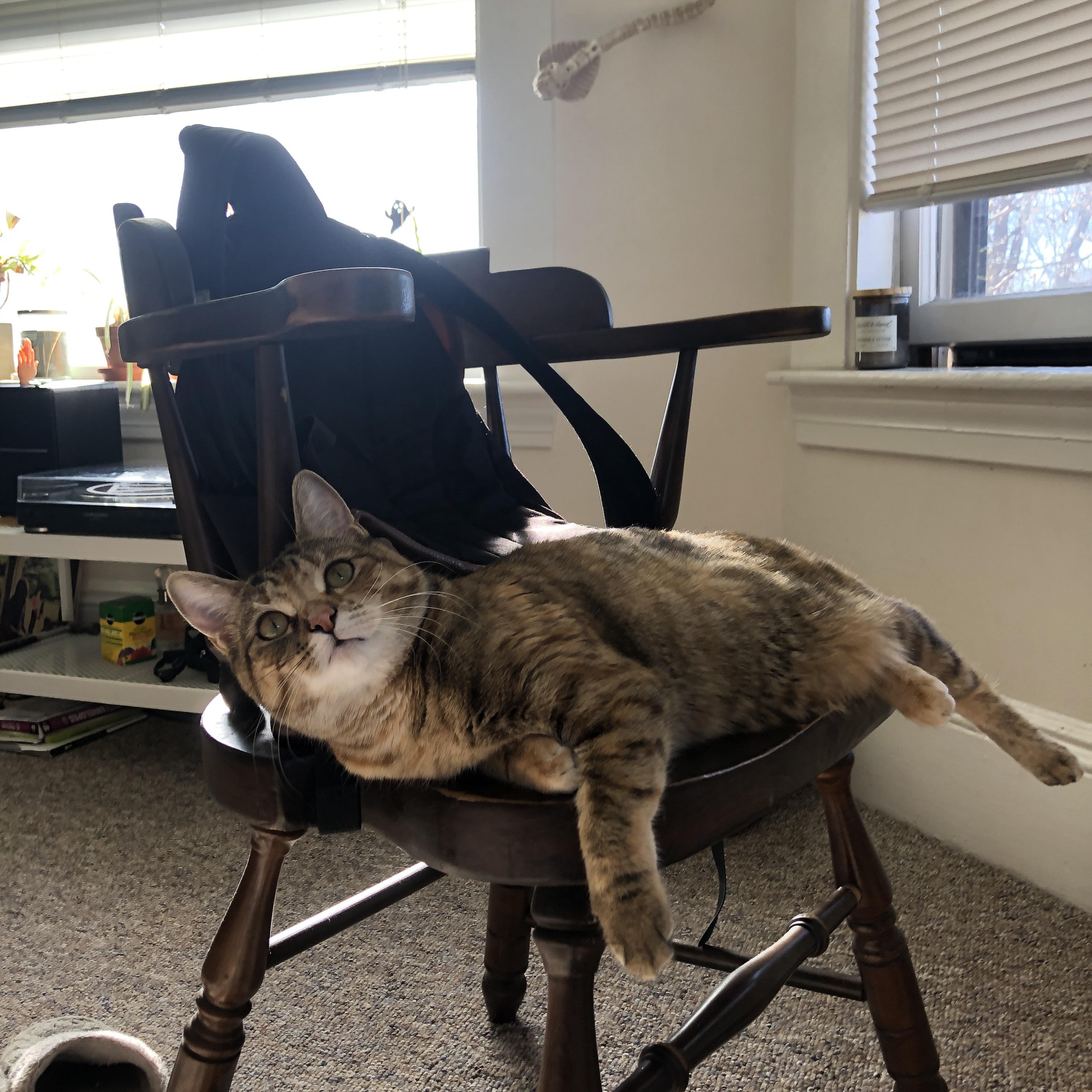 开云-跨次元镜像战争,广厦队如何在欧冠战场正面击溃步行者