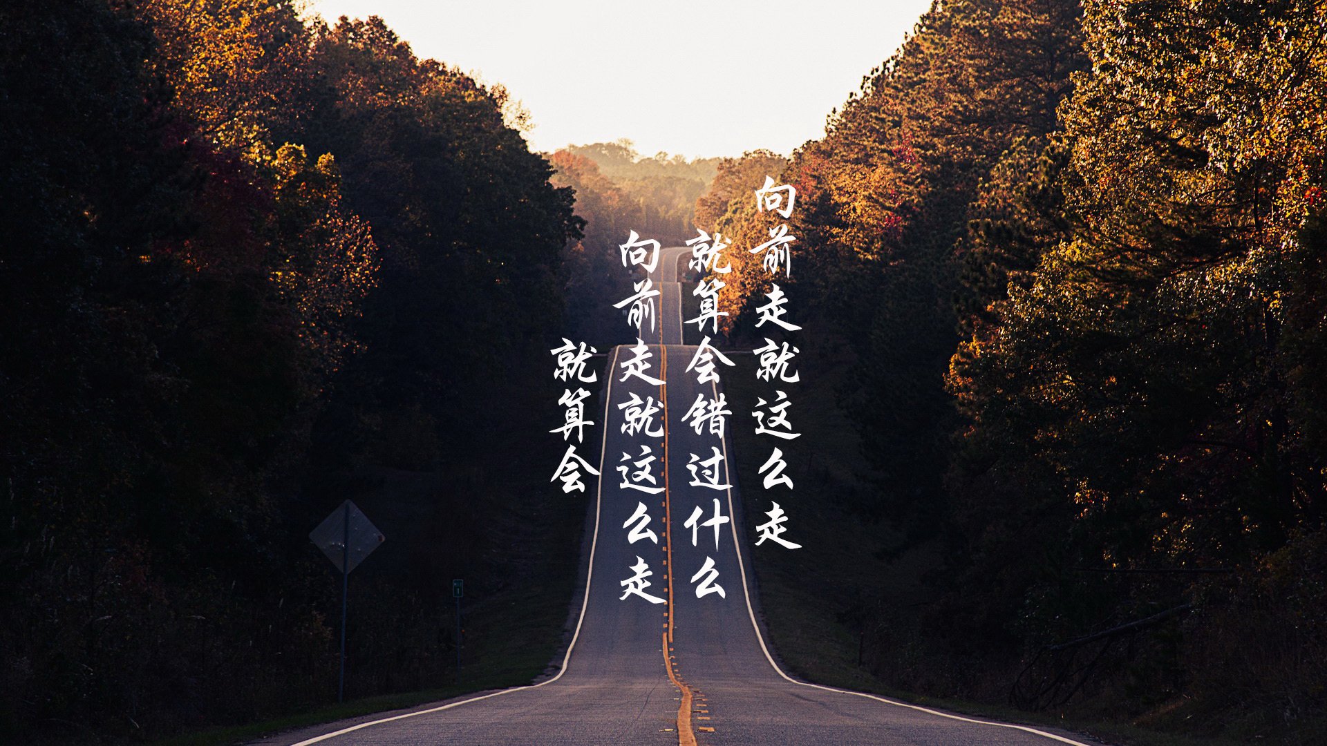 开云体育登录-轨道与球场,双子星闪耀下的冠军品质之谜