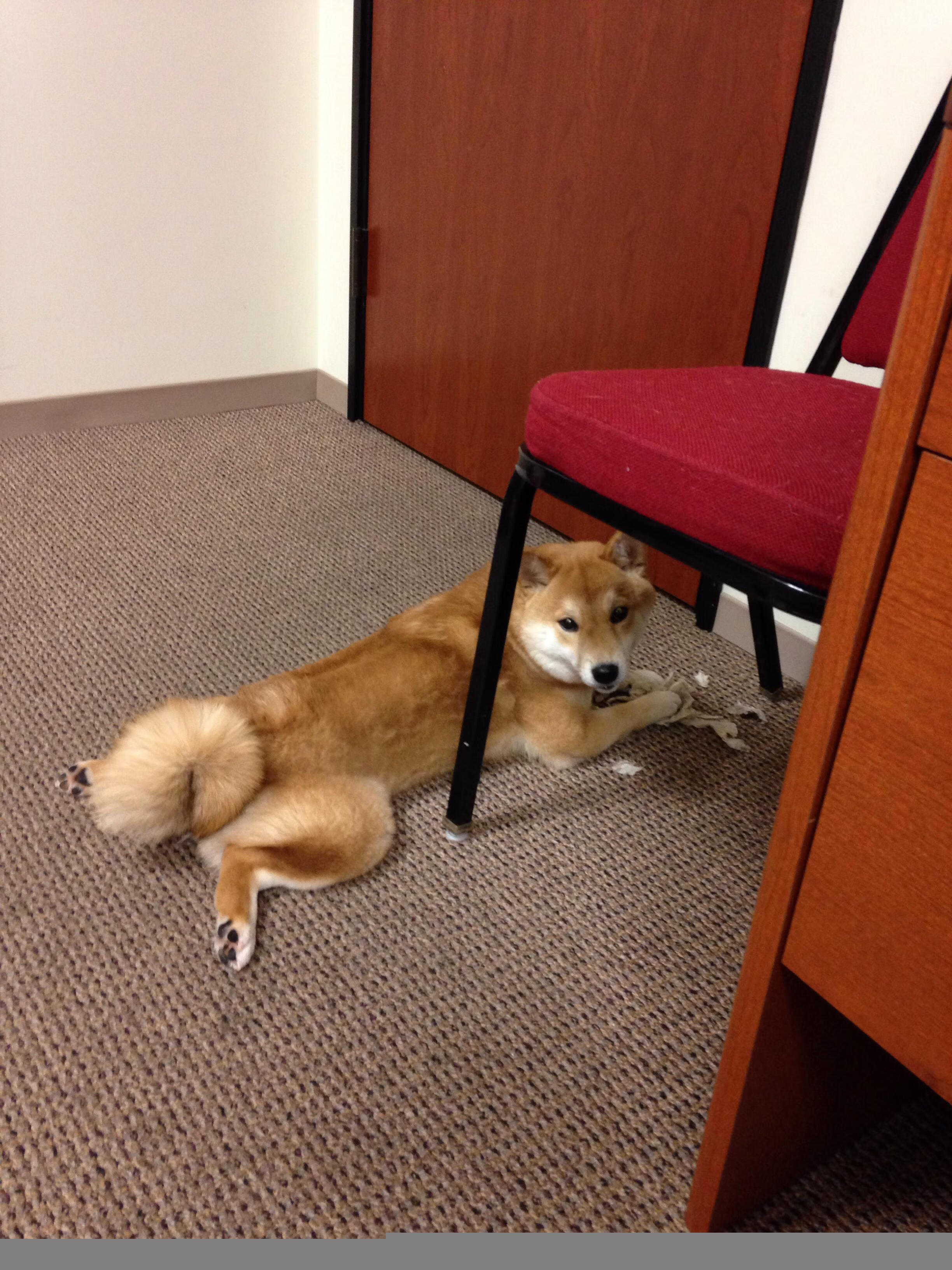 巴黎闪电战,姆巴佩的致命三分钟与迪马利亚的节奏统治