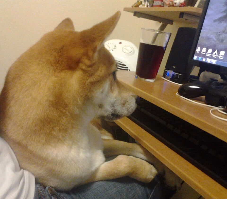 开云体育中国-萨卡封神之战!澳大利亚补时绝杀安哥拉,提前锁定2026世界杯十六强席位