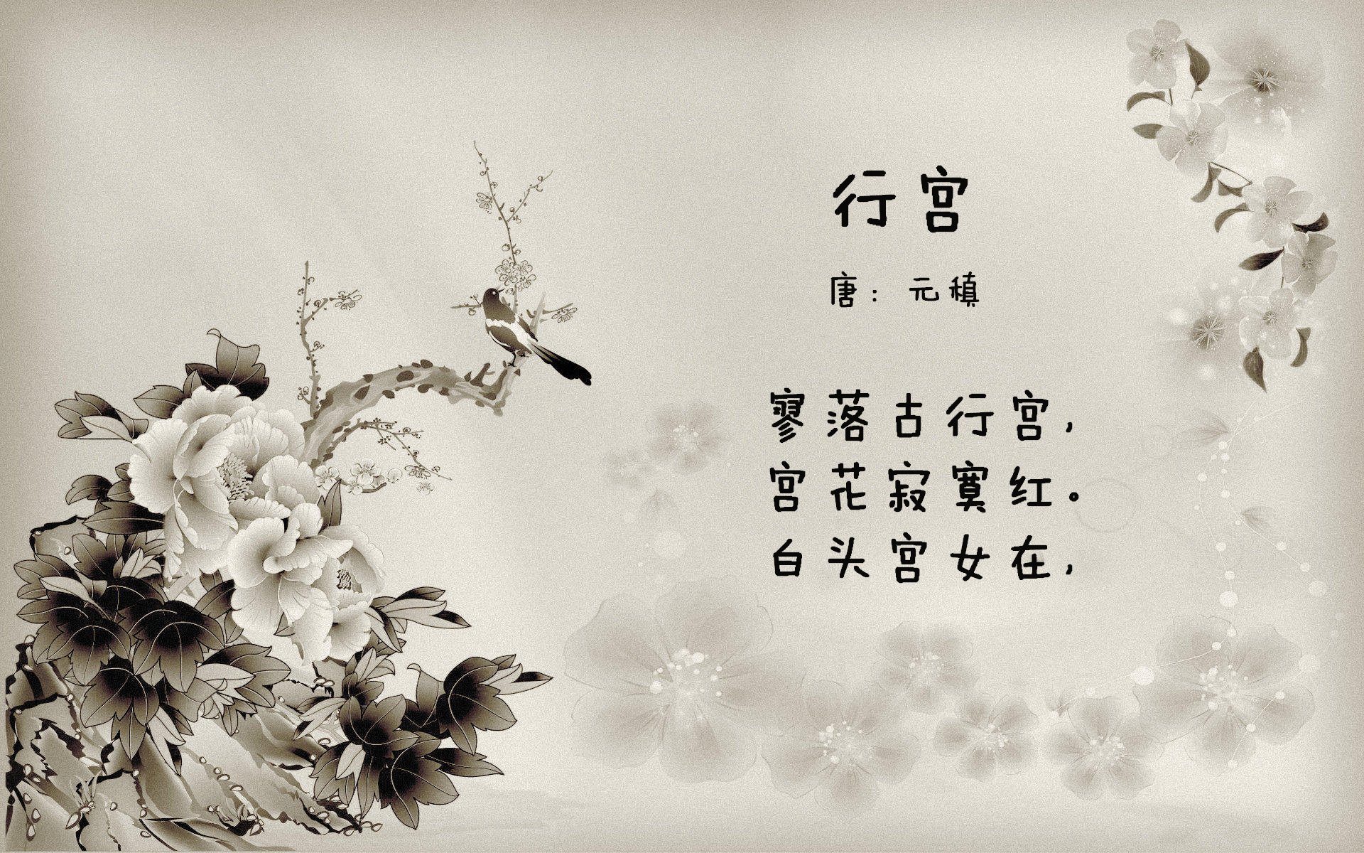 三色帷幕下的银盾骑士，阿坎吉在美加墨之夜的关键证词