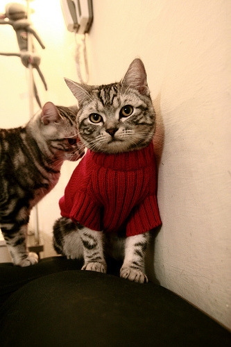 强行改写历史，贝恩的不朽夜晚与深圳队的铁血宣言