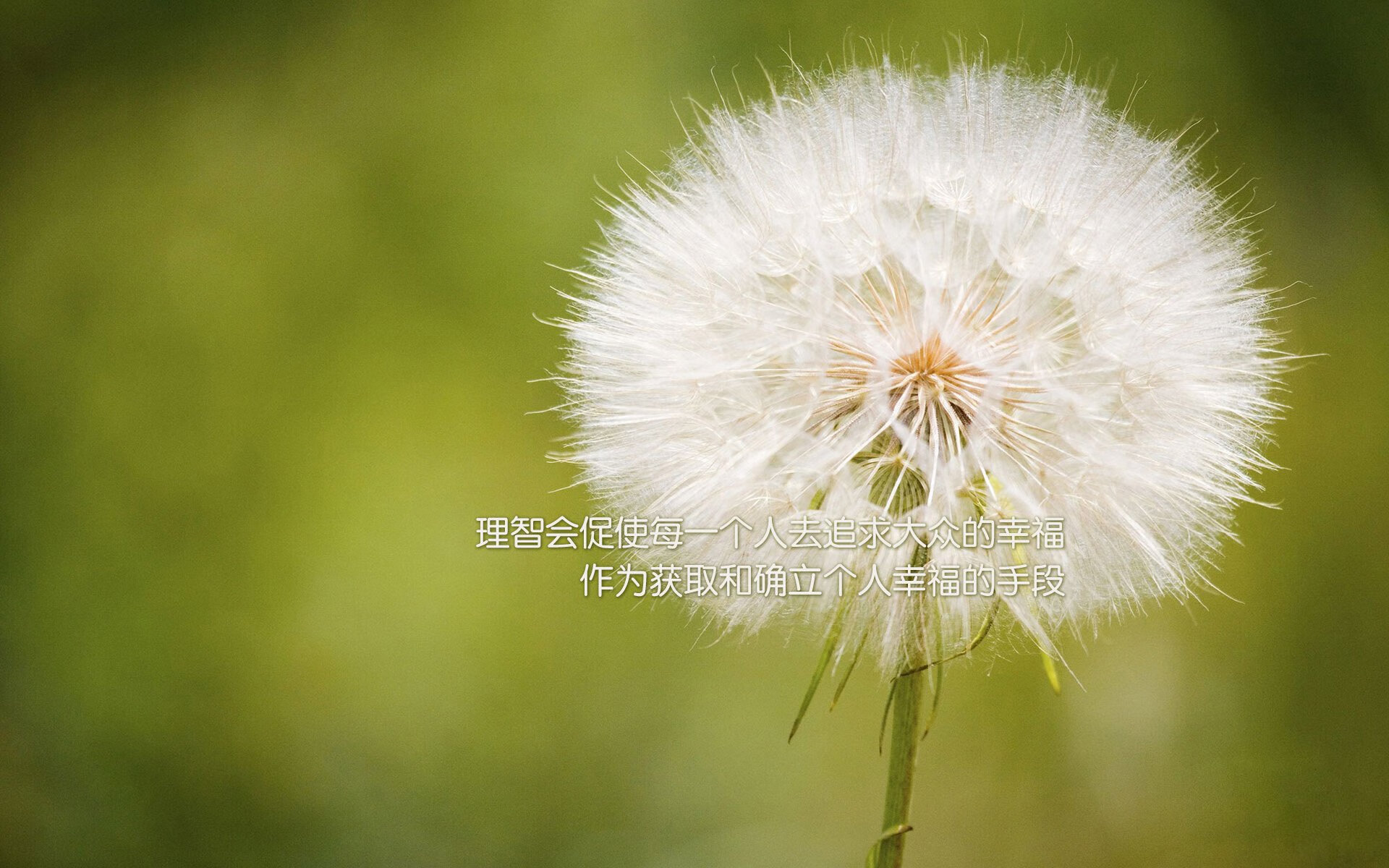 开云平台-速度与决心，F1揭幕战之夜与迪马利亚的关键战不手软