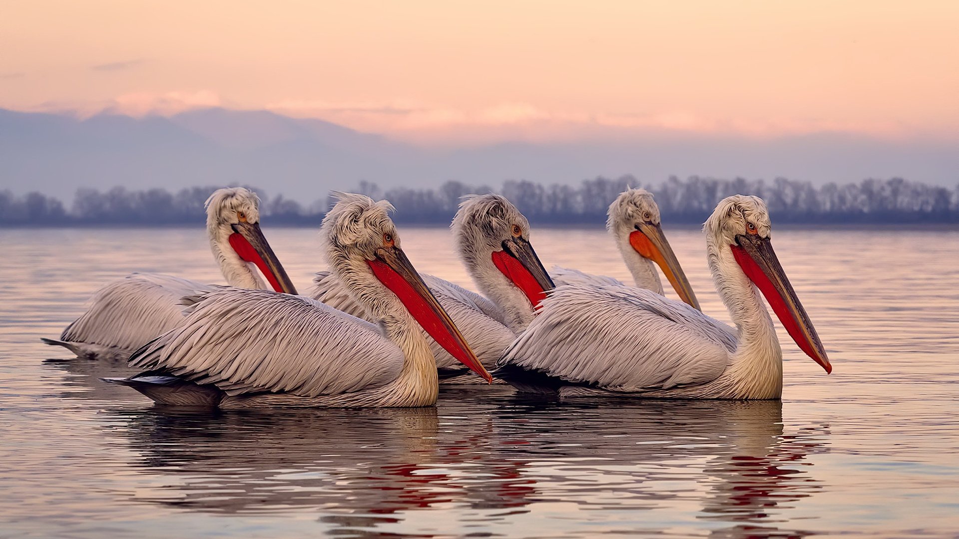 控球者与收割者，当绿茵场遇见金融冰川