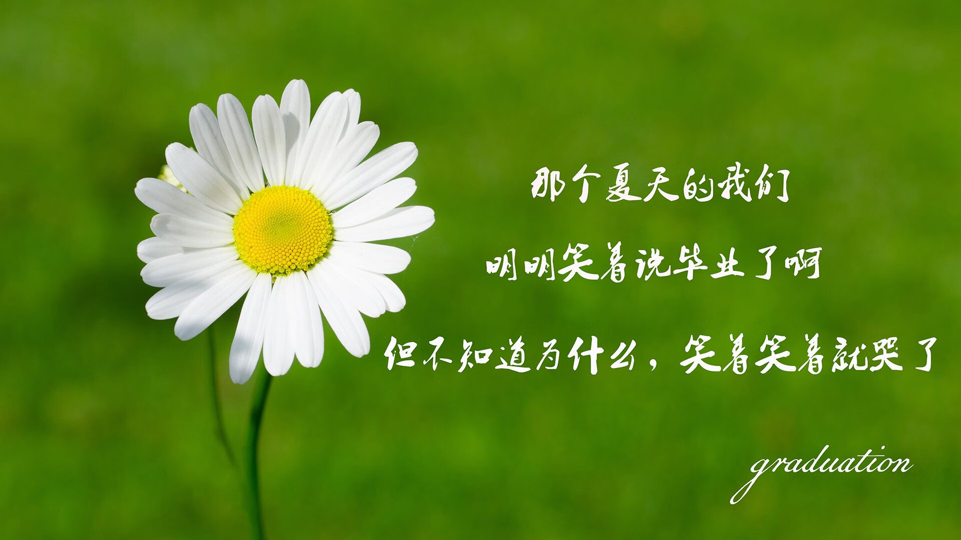 沙漠逆袭,2026世界杯D组关键战,美国绝地逆转阿联酋,吉鲁的铁血号令